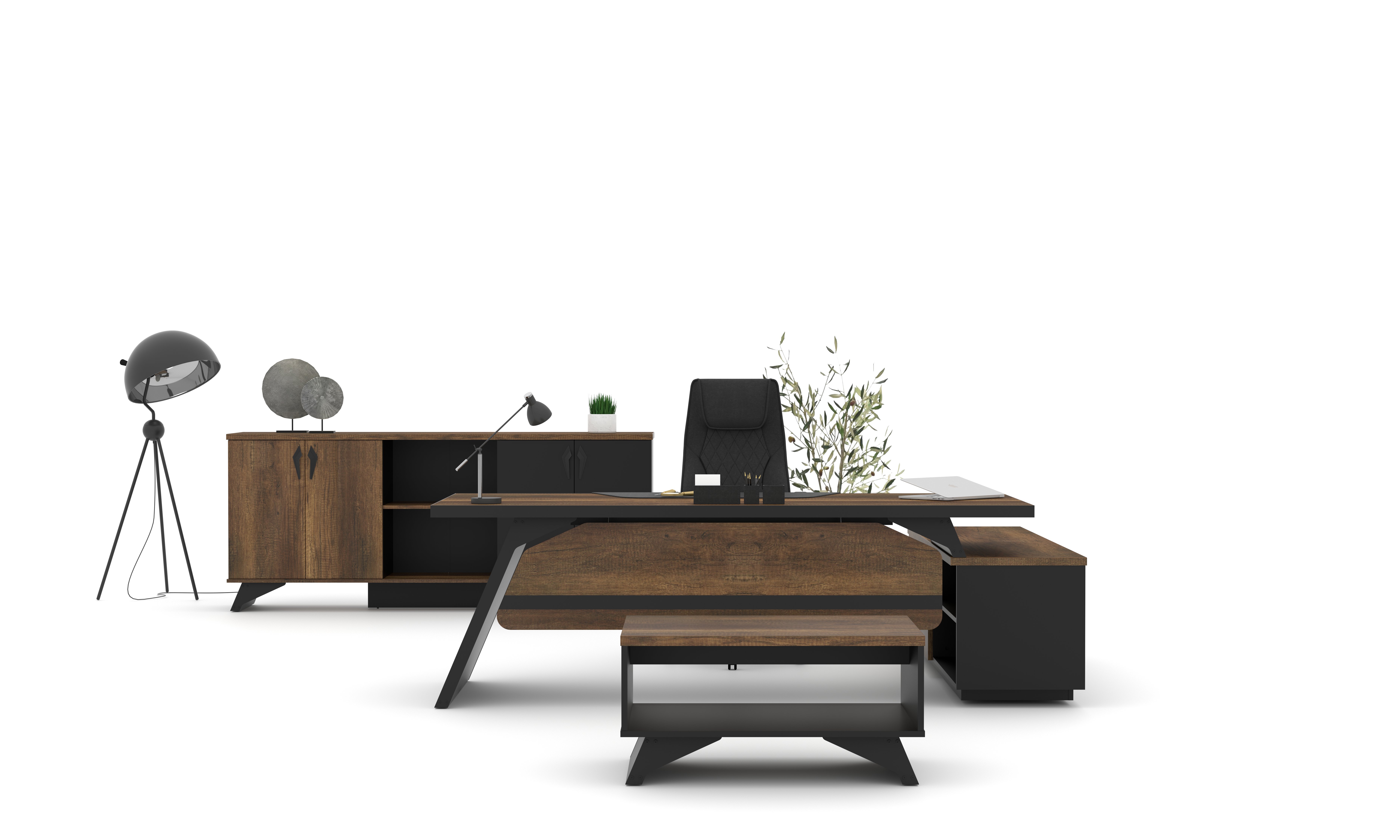 Pegasus Yönetici Masa Takımı